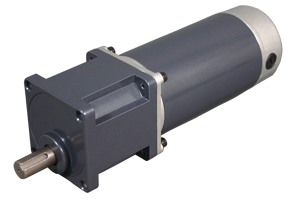 Standard Permanent Magnet DC Motors with Gearboxes - BDSGS-90-194